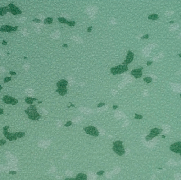 BF-DR1405.jpg