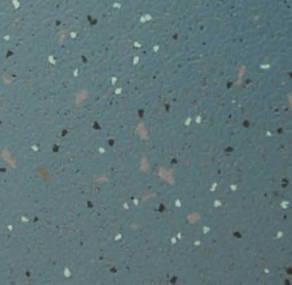 BF-BV0022.JPG